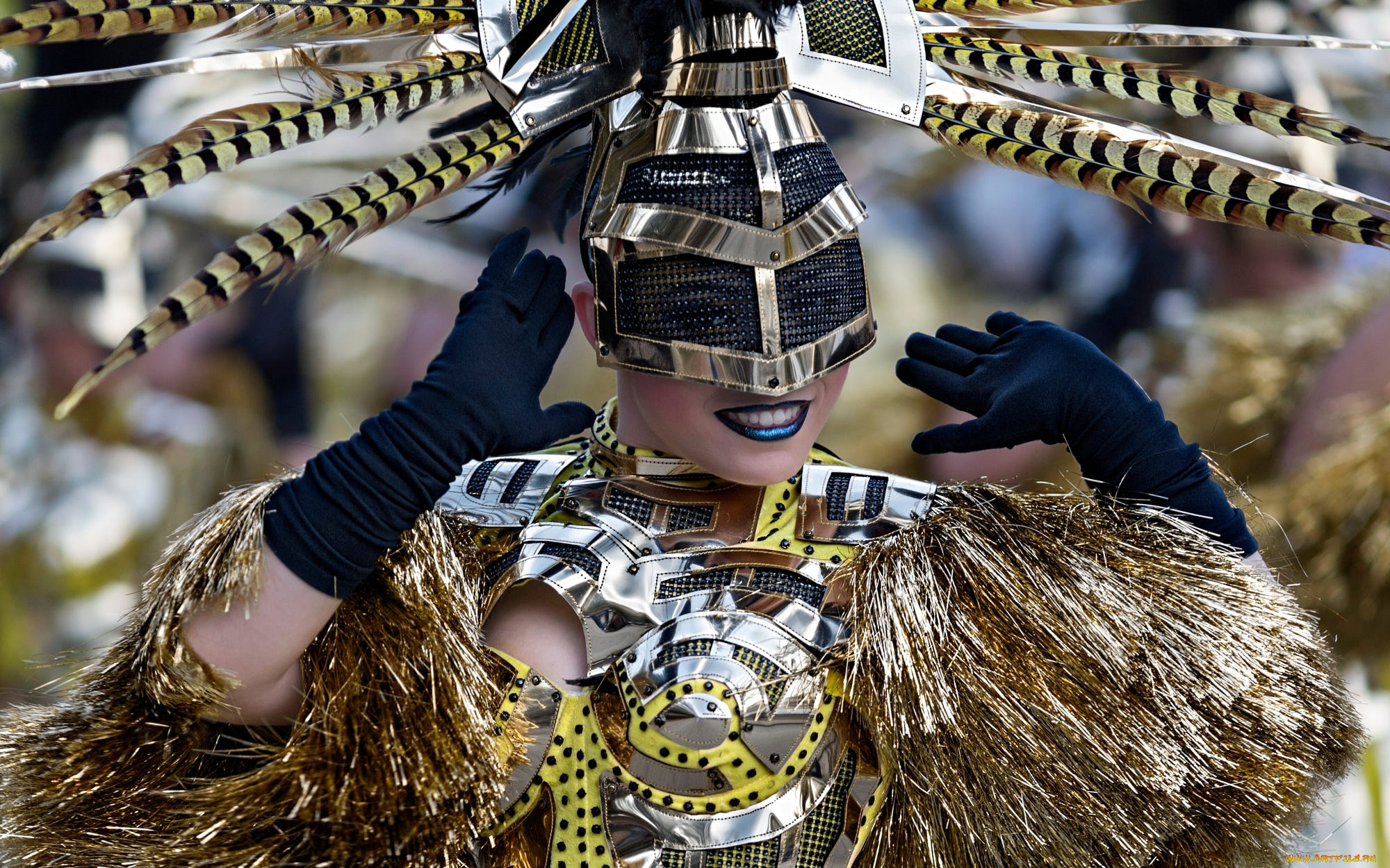 , ,   , brasil, carnival